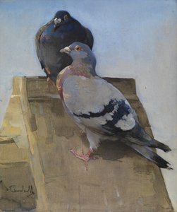 Pigeons on the Roof