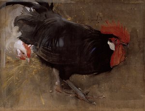 The Black Cock