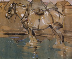 The Drinking Pool