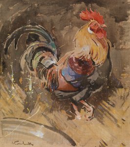 The Minorca Cock