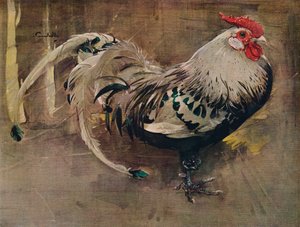 The Spangled Cock