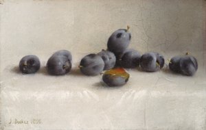 Twelve Plums