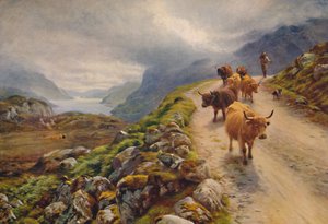 Loch Maree