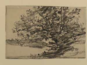 Study of Trees, 1870 by Joseph Frank Currier