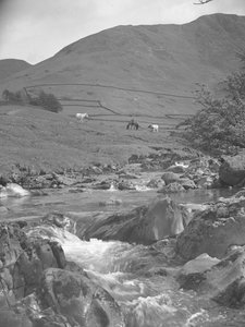 A view of a horse and two cows grazing near a stream with fells in the background by Joseph Hardman