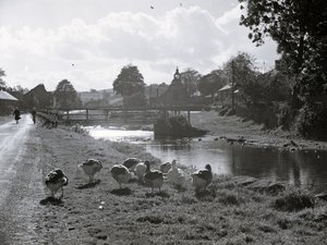 A view of a stream with a bridge, geese in the foreground, buildings and a church in the background by Joseph Hardman
