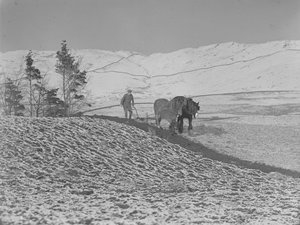 Two horses ploughing in the Lune Valley by Joseph Hardman