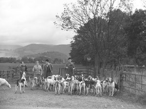 Two men and two women with a group of hounds by Joseph Hardman
