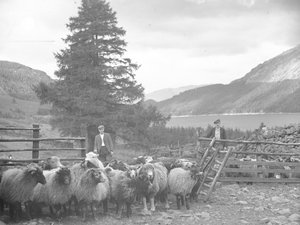 Two shepherds with a flock of sheep and Thirlmere behind by Joseph Hardman