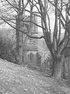 View of a Church; Architecture; Religious; Ecclesiastical; Tower Through Trees