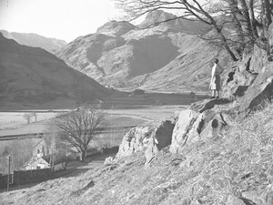 Woman standing on rocks under tree looking at view of Langdale Fells