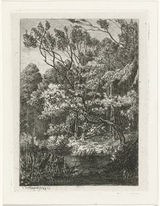 Forest View by Joseph Hartogensis
