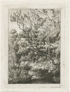 Forest View by Joseph Hartogensis
