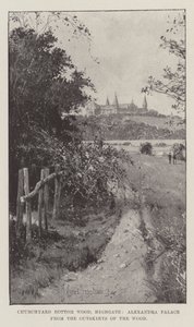 Churchyard Bottom Wood, Highgate, Alexandra Palace from the Outskirts of the Wood by Joseph Holland Tringham