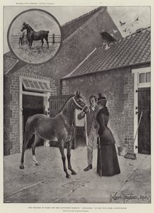 The Princess of Wales and her Favourite Yearling Alexandra at the Stud Farm, Sandringham by Joseph Holland Tringham