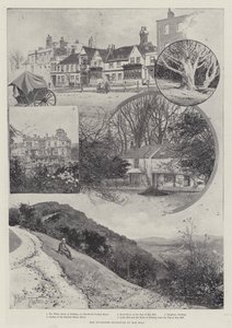 The Suggested Enclosure of Box Hill by Joseph Holland Tringham