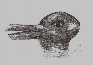 Duck-Rabbit Illusion. From: Jastrow, J. The Mind