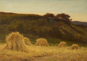 The Cornfield