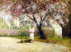 Blossom by Joseph Malachy Kavanagh