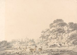 Windsor Castle and Park with Deer