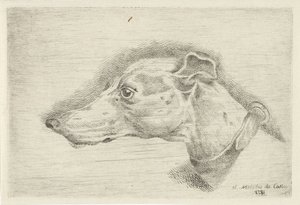 Head of a Greyhound by Joseph Mendes da Costa