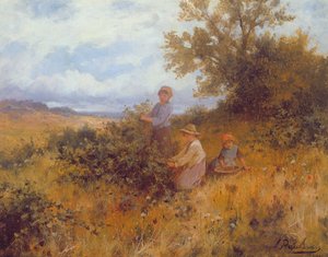 Blackberry Picking