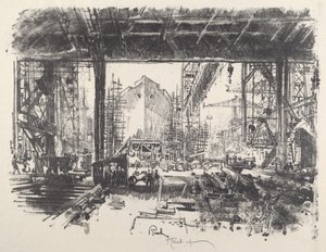 Under the Shed