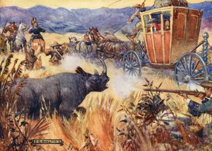 Simon Van der Stel and the Rhinoceros