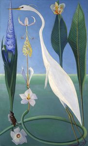 The White Heron