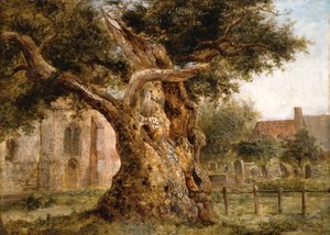 The Old Oak by Joseph Thors