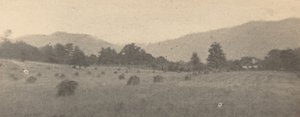 Landscape with trees and mountains, c. 1900