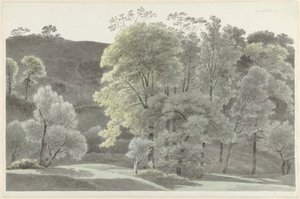 Trees in the Vicinity of Subiaco by Josephus Augustus Knip