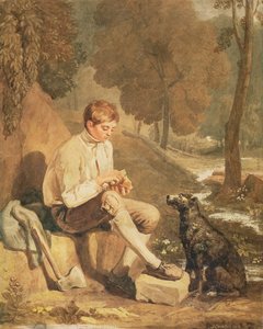 A Young Woodcutter