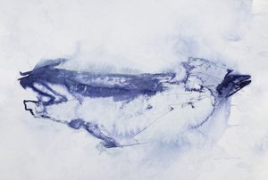 Abstract Blue Bird