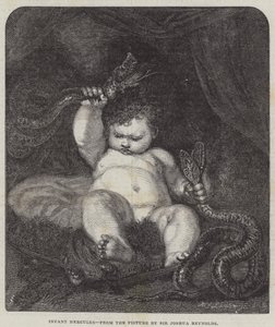 Infant Hercules