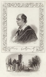 Portrait of Oliver Goldsmith by Joshua Reynolds