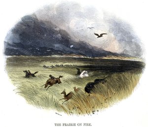 Prairie on Fire, from Phenomena of Nature