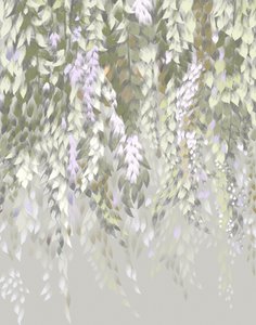 Pastel Wisteria Blossoms by Josie George