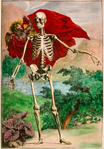 The Skeleton and Love by Josse Photo