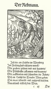 The Vine Grower by Jost (after) Amman