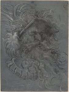 Head of a Bearded Man by Jost Amman