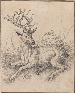 The Stag by Jost Amman