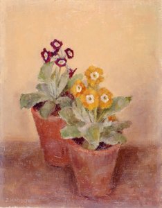 A Pair of Poppies by Joyce Haddon