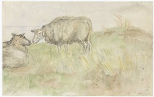 Two Sheep
