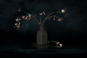 Cherry Blossom Still Life