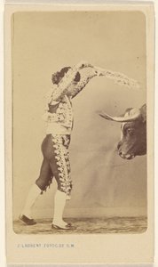 The Banderillo