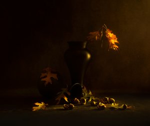 Golden Autumn Acorns
