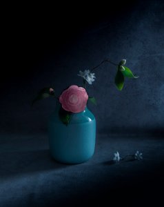 Moody Pink Bloom