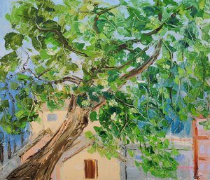 Lush Green Tree
