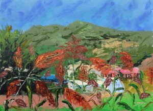 Vibrant Sorghum Field Landscape